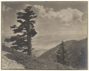 On Ridge to Old Baldy