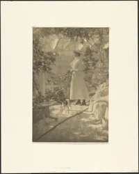 On the Trellised Walk