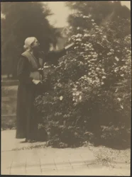 Portrait of a Woman Picking Flowers