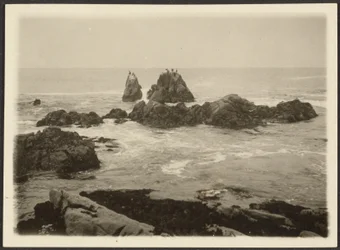 Seascape