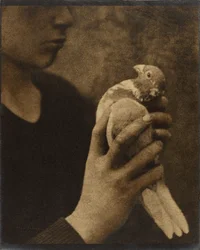 The Weary Messenger