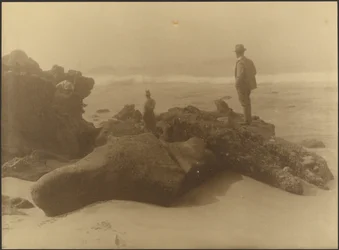 Three Men Fishing from Rocks on Beach