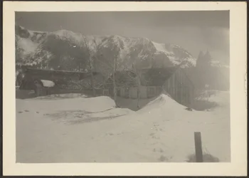 Winter Landscape