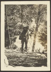 Woman Standing on Fallen Tree