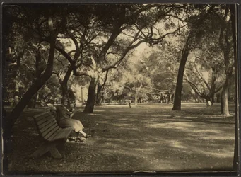 Woman in a Park