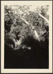 Woman on Path in Woods