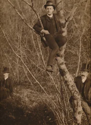 Man Sat in a Tree