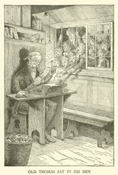 Illustration for Tom Brown