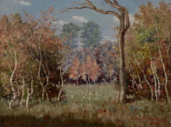 Autumn Landscape