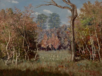 Autumn Landscape