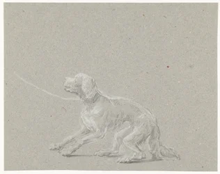 Dog on a Leash