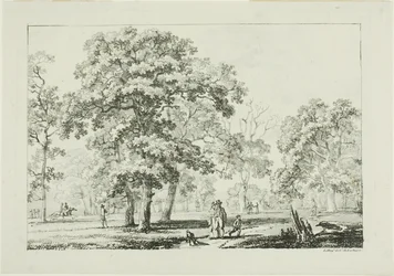 People Walking in a Wood