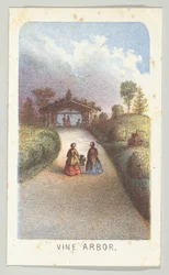 Vine Arbor, from the series, Views in Central Park, New York, Part 3, 1864
