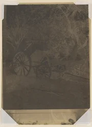 Cart