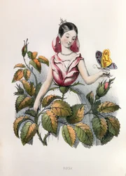 Allegory, the Rose