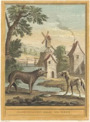 The Wolf and the Thin Dog
