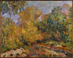 Landscape of the South