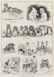Sketches at the Cat Show, Crystal Palace