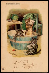 The Morning Bath. Animals in Human Posture. Cats Taking a Bath in a Basin. Postcard. Chromolithograph by Louis Wain (1860-1939), English artist known for his representation of cats with large eyes. Early 20th century.