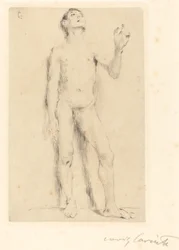 Young Male Nude