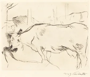 Cow Barn II