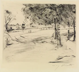Landscape