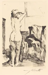Study of a Model