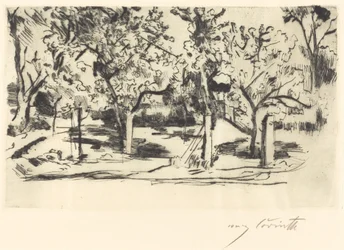 Orchard