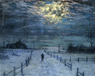 A Wintry Walk