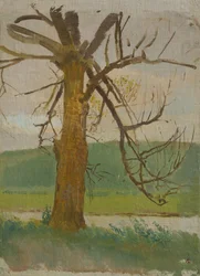 Tree by the River