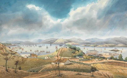 Hong Kong Harbor