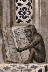 The Monkey with Glasses Reading a Book