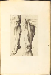 Print from Drawing Book