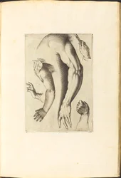 Print from Drawing Book