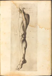 Print from Drawing Book