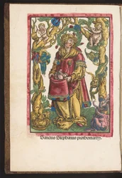 St. Stephen