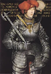 Portrait of Joachim II of Brandenburg as Prince Elector