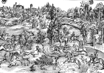 Deer hunting in the countryside