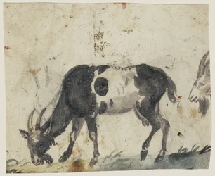 Study of Goats (verso)