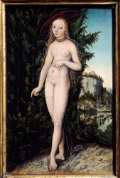 Venus Standing in a Landscape