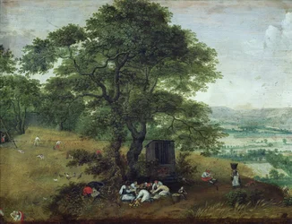 The Harvest