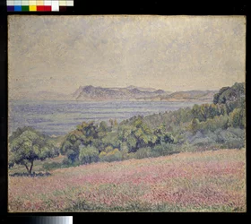 Thistles, Le Brusq