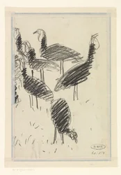 Six Birds