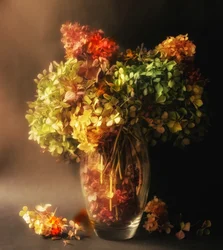 Fading Hydrangea Still Life