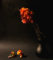 Moody Autumn Flowers