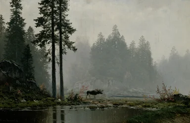 Autumn Fog