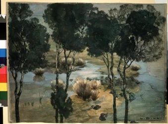 Landscape