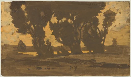 Willows in Dachau Moorland
