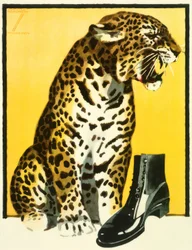 Poster for Shoe Advertisement