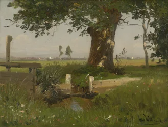 Summery Meadow Landscape in Carinthia